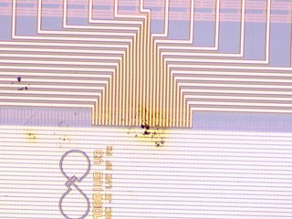20260506163101291.tif