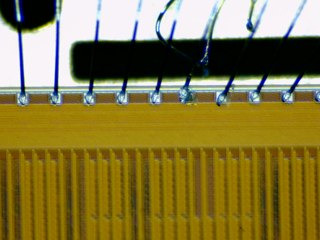 20260506172938246.tif