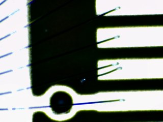 20260506173119433.tif