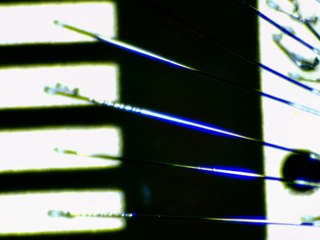 20260506173222512.tif