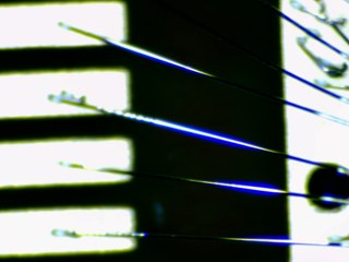 20260506173223526.tif
