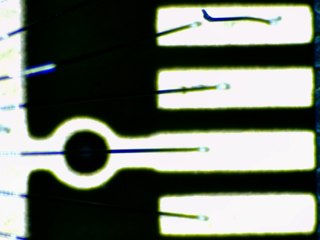 20260506173251588.tif