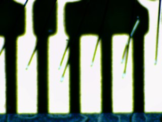 20260506173516720.tif
