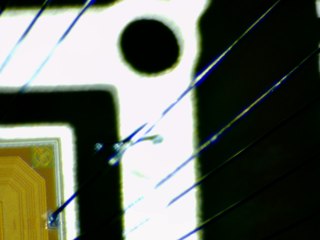 20260506173621772.tif