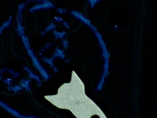 20260506174016027.tif
