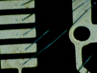 20260506174202147.tif