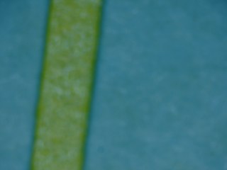 20260506175340343.tif