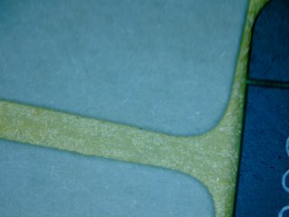 20260506175350360.tif