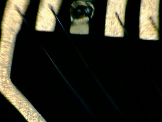 20260506181902903.tif