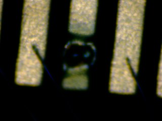 20260506181907888.tif