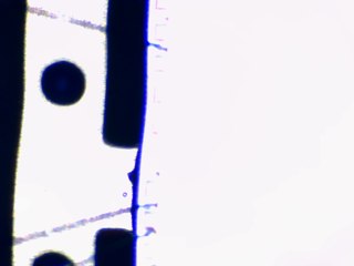 20260506182133086.tif