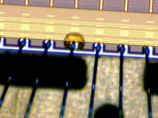 20260506183104943.tif