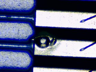20260506183237084.tif