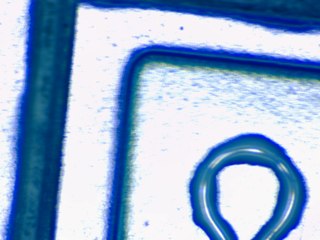 20260506183250093.tif